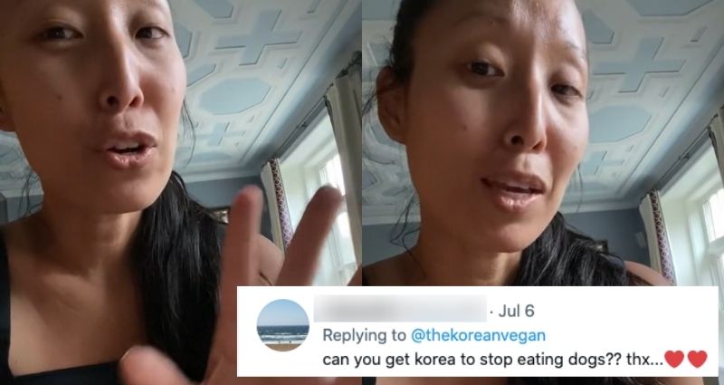 korean vegan