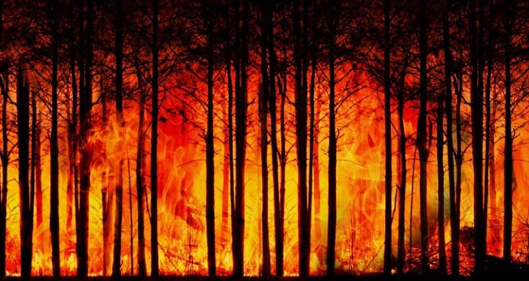 New study: Today’s children will live through three times more climate disasters than their grandparents