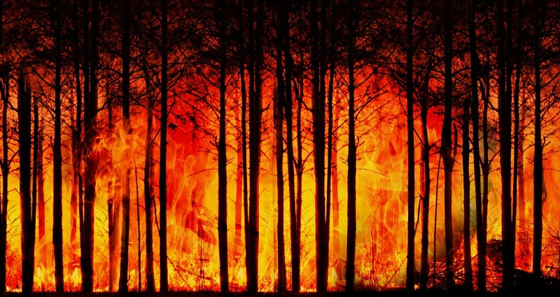 climate disaster awaits the younger generation