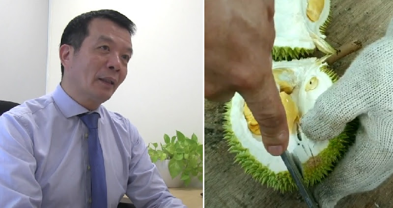 durian gets turned into bandages