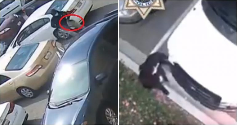 Three men who targeted, robbed over 70 Asian women in the Bay Area have been charged
