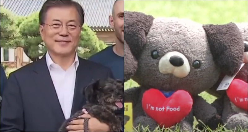 dog meat potentially banned
