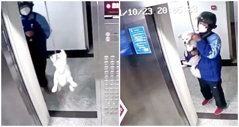 Chinese deliveryman rescues dog whose leash got caught in moving elevator