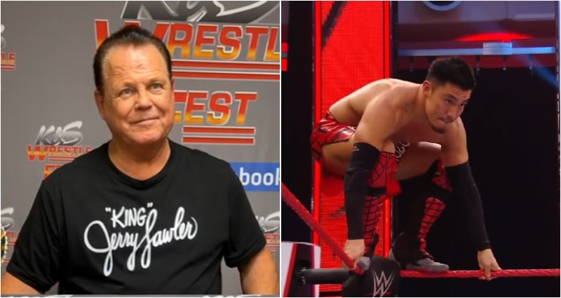 Jerry Lawler comment
