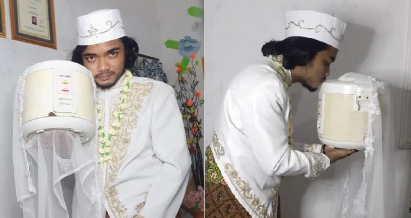 rice cooker becomes a wife