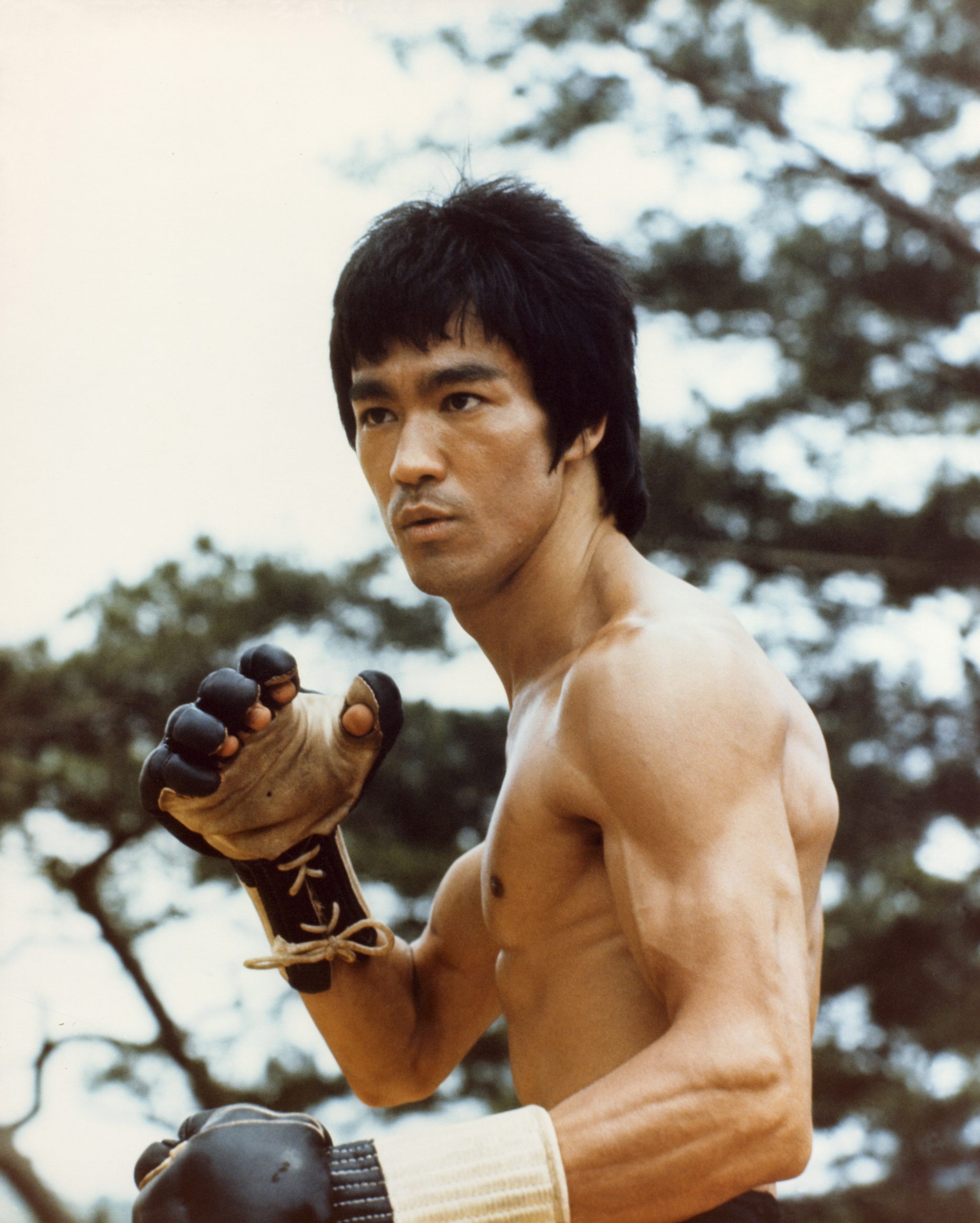 Bruce lee. Брюс ли. Брюс ли фото. Дэн Иносанто и Брюс ли. Ван Дамм и Брюс ли.