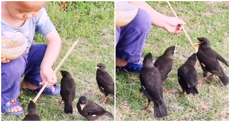 toddler chopstick birds