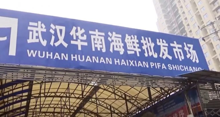 New research supports Wuhan live animal market as origin of pandemic