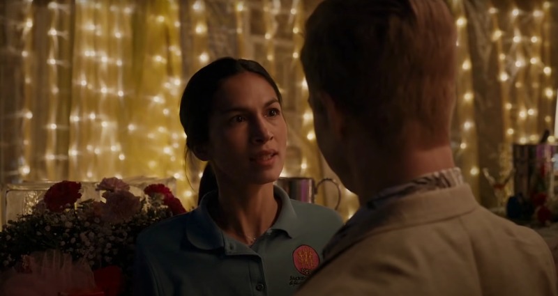 the cleaning lady