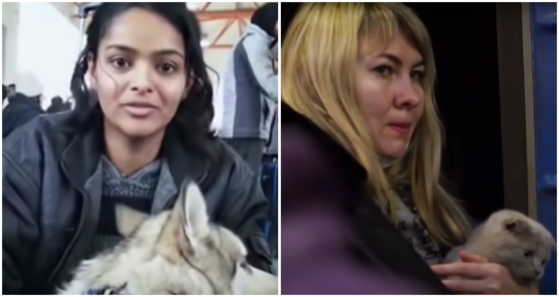 pets in ukraine