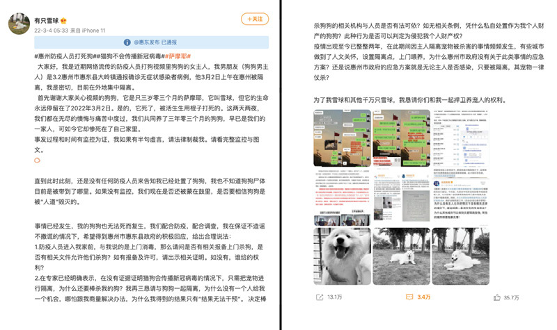 snowball weibo post 2