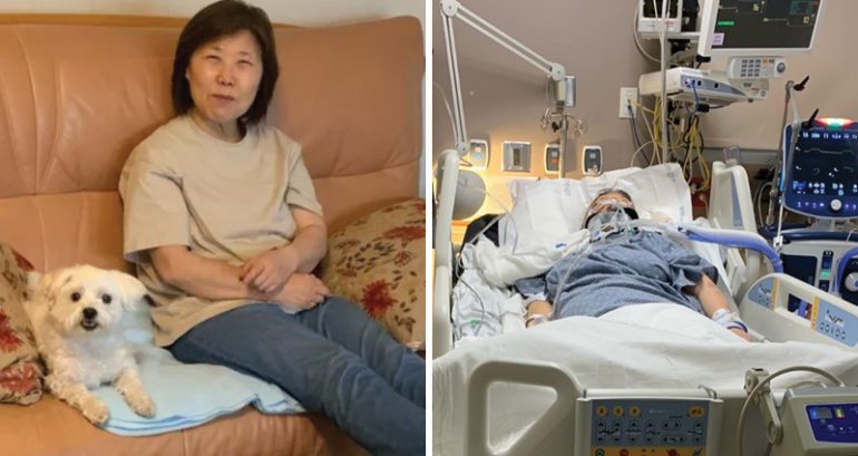Elderly Asian woman paralyzed after being stabbed in the neck in her Long Beach liquor store