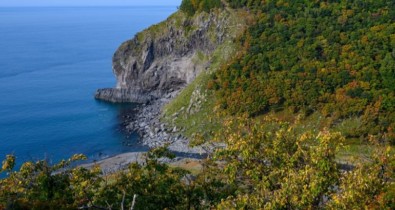 Rescuers recover body of 3-year-old girl from Japan tourist boat sinking, raising confirmed dead to 11
