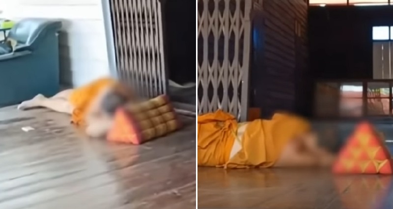 thai monk