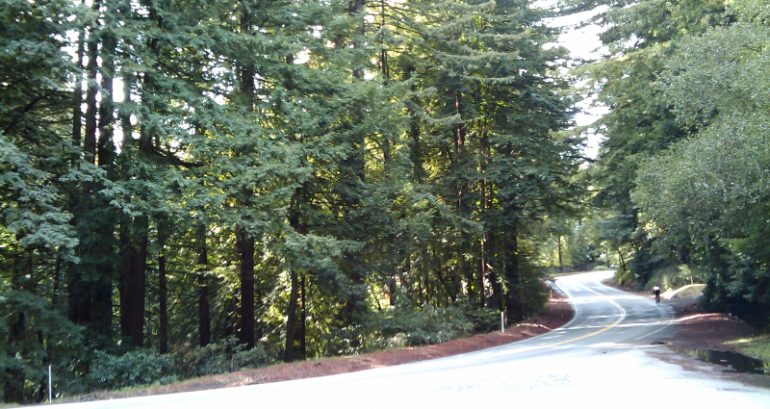 Elderly California motorcyclist dies after crashing into tree