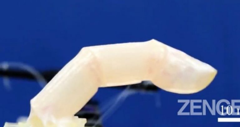 Japanese scientists grow living, self-healing human skin that can be put on robots