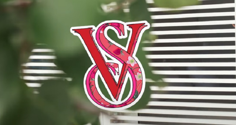 VS