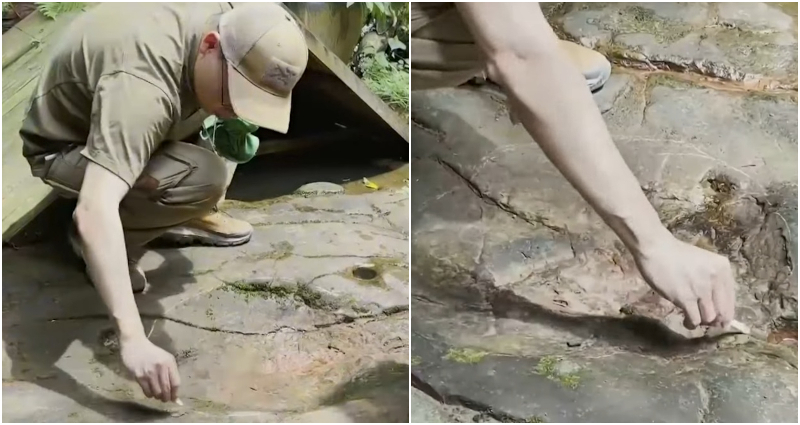 CHINA SAUROPOD FOOTPRINTS