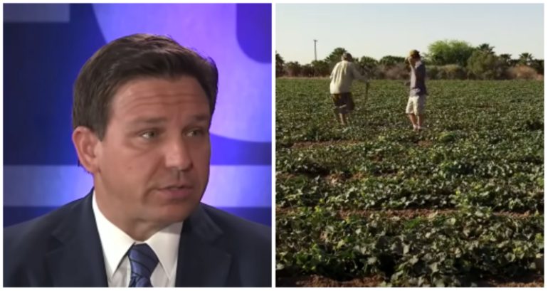 Fla. Governor Ron DeSantis says he wants to stop ‘huge problem’ of Chinese investors purchasing US real estate
