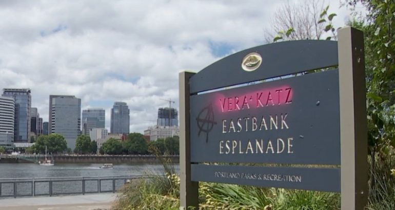 Portland man accused of punching 5-year-old girl because he thought she was Japanese pleads not guilty