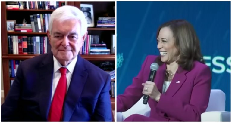 Former House speaker cites VP Kamala Harris’ ‘really weird’ laugh as reason she can’t be president