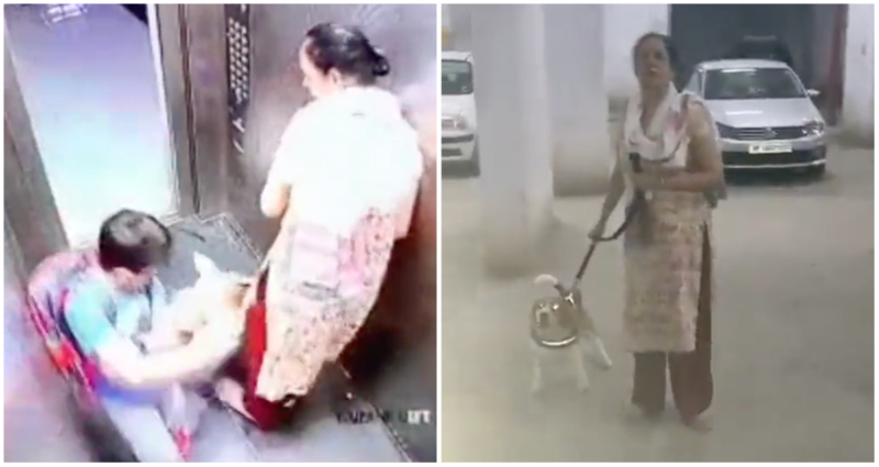 Viral video of pet dog biting a boy in India as its owner does nothing sparks outrage