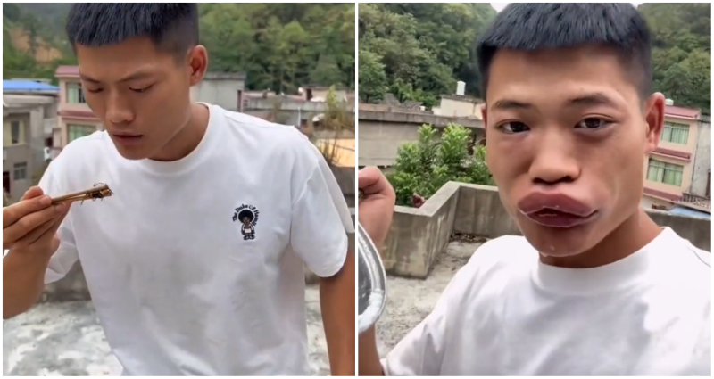 man eats live wasp