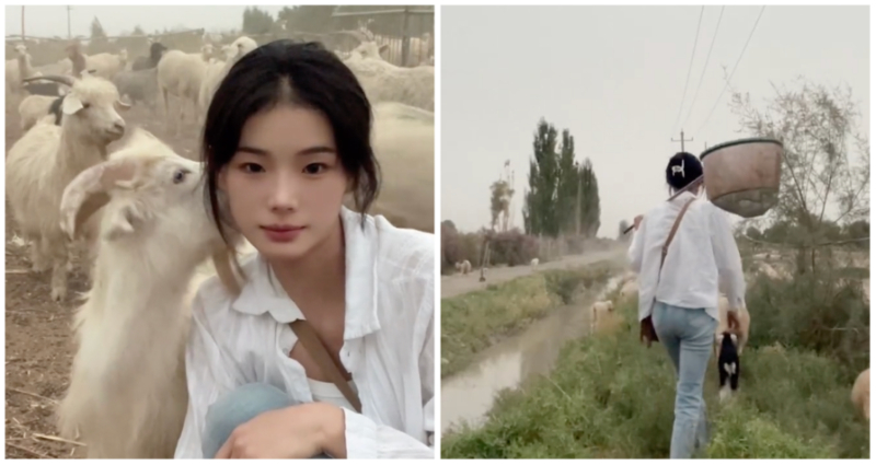 shepherdess in china