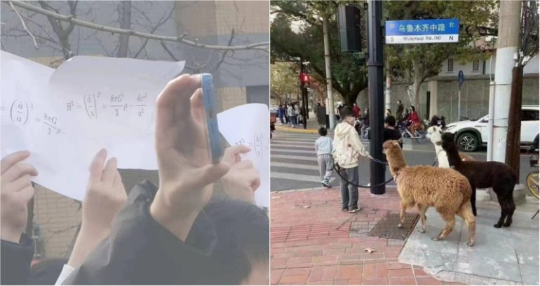 Physics equations, white papers, alpacas: a guide to the symbols of China’s COVID protests