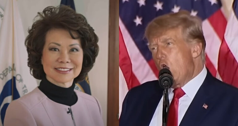 Elaine Chao discourages media from repeating Trump’s racist insult