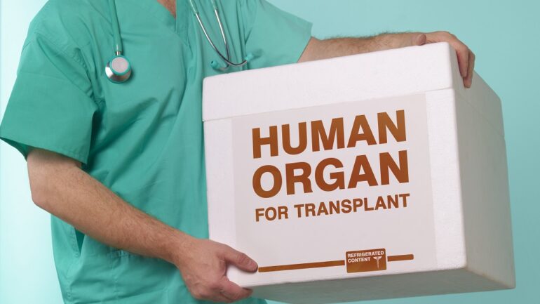 Korean woman fined for offering her liver in exchange for cash and a job for her son