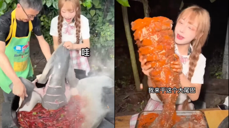 Chinese vlogger fined $18,500 for eating an endangered baby shark
