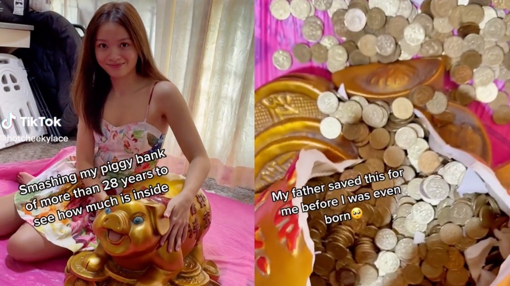 tiktok piggy bank