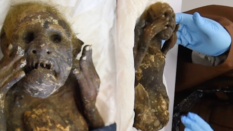 Scientists reveal secrets of mysterious ‘mermaid mummy’ discovered in Japan