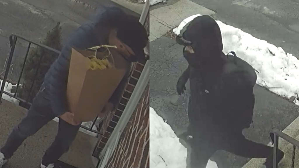 Burglary suspects