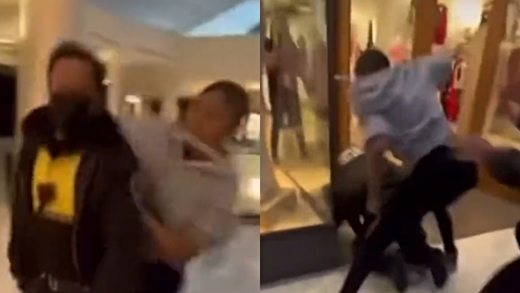 Teen caught on camera assaulting security guard