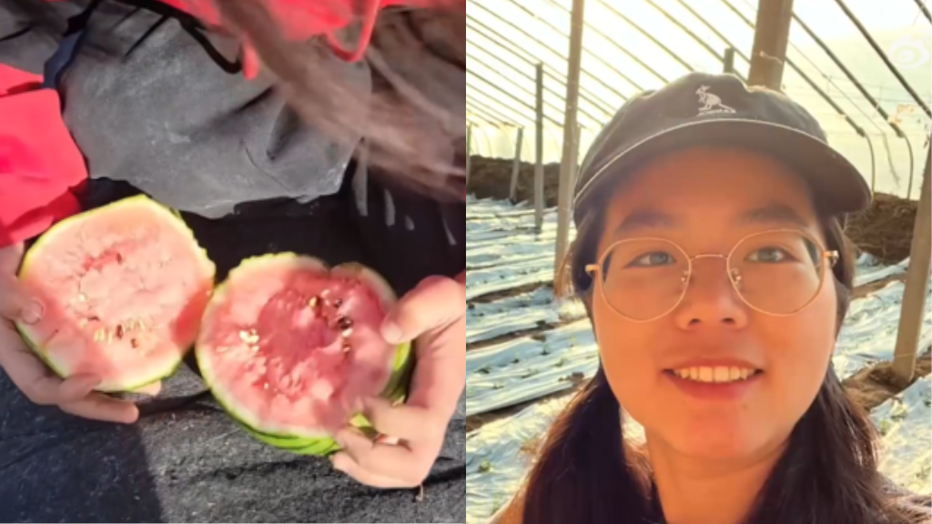 chinese woman nextshark watermelon farmer