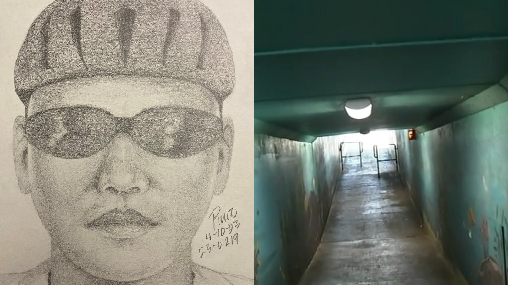 Palo Alto sexual assault suspect sketch, Palo Alto underpass