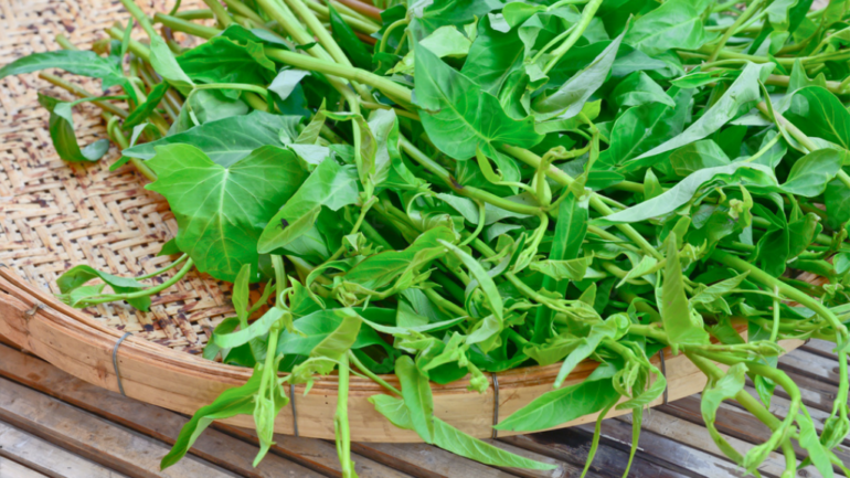 Water spinach is now legal in Georgia after decades-long ban