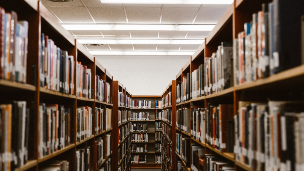 Library bookshelves