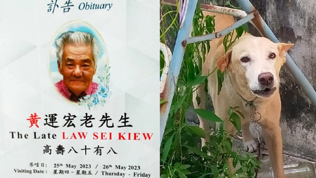 Elderly Malaysian man dies protecting his beloved dog from local pound catchers