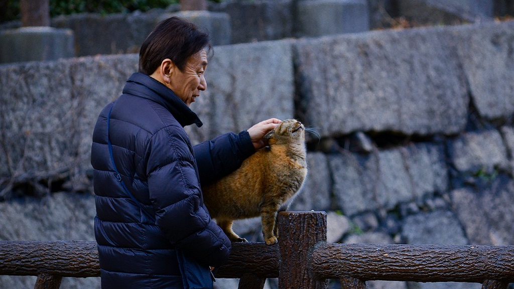 Japanese man