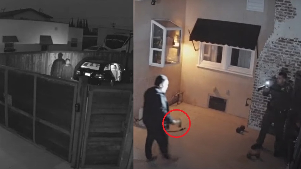 Surveillance footage of Orange County burglary