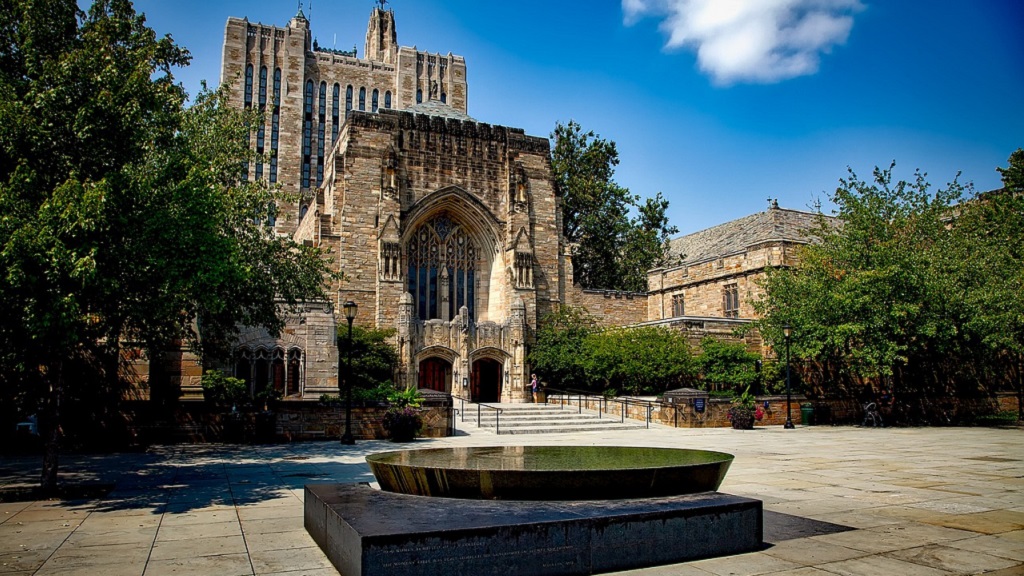Most Fortune 500 CEOs did not attend Ivy League schools, data shows - Vimarsana News