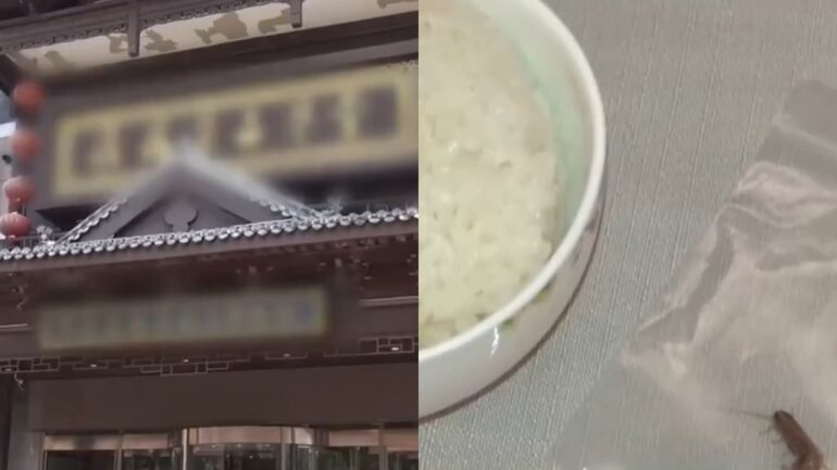 Man in China arrested for attempting to extort restaurant by putting cockroach in his food