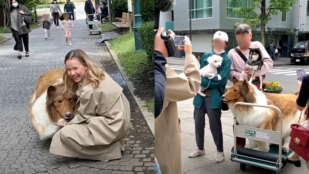 Japanese man buys a $15,700 costume to 'become' a dog 