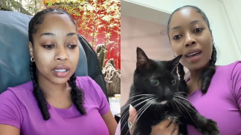 TikToker accuses Taiwan’s China Airlines of neglecting her cat during ‘nightmare’ 38-hour ordeal