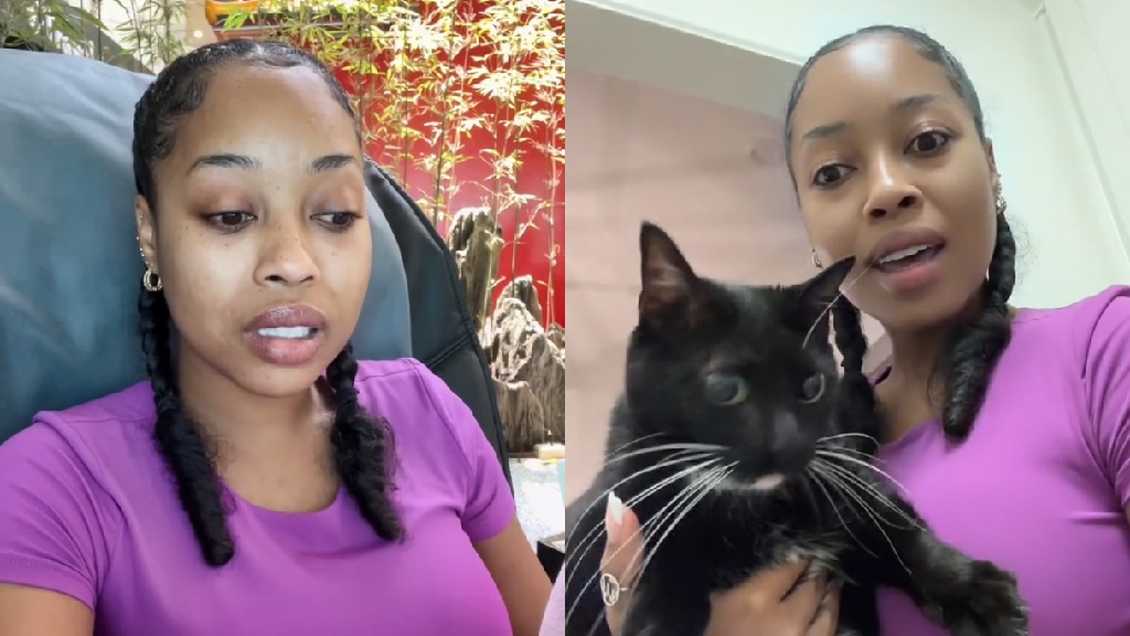 TikToker accuses Taiwan’s China Airlines of not taking care of her cat during 38-hour ordeal