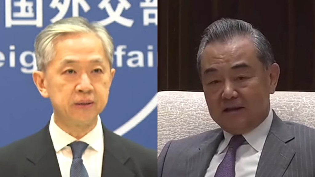 Wang Wenbin, Wang Yi
