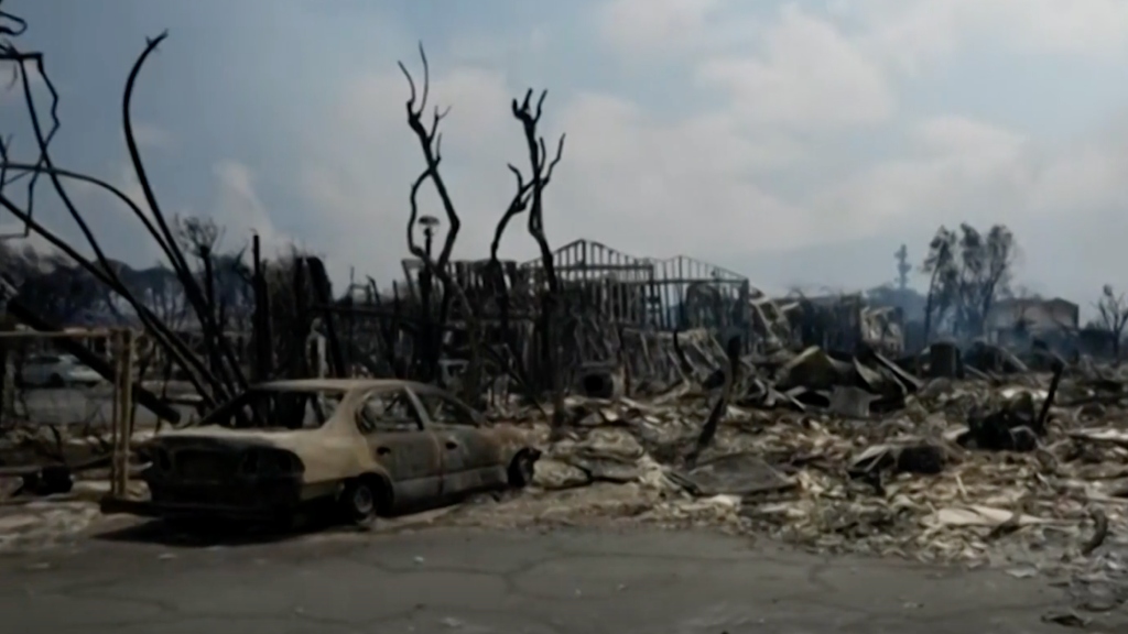 Aftermath of Maui wildfires